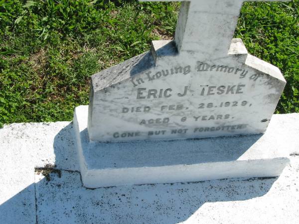 Eric J TESKE  | 28 Feb 1929, aged 6 years  | Mount Beppo Apostolic Church Cemetery  | 