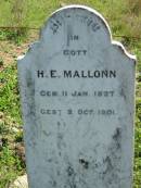 
H,E. MALLONN,
born 11 Jan 1827 died 2 Oct 1901;
Mt Beppo General Cemetery, Esk Shire
