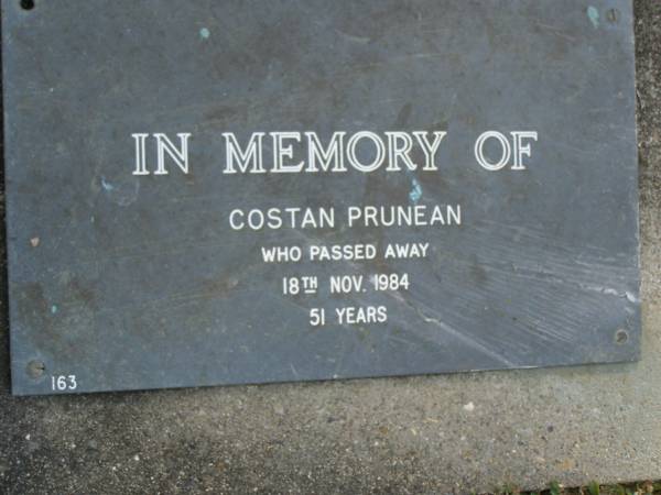 Costan PRUNEAN,  | died 18 Nov 1984 aged 51 years;  | Mudgeeraba cemetery, City of Gold Coast  | 