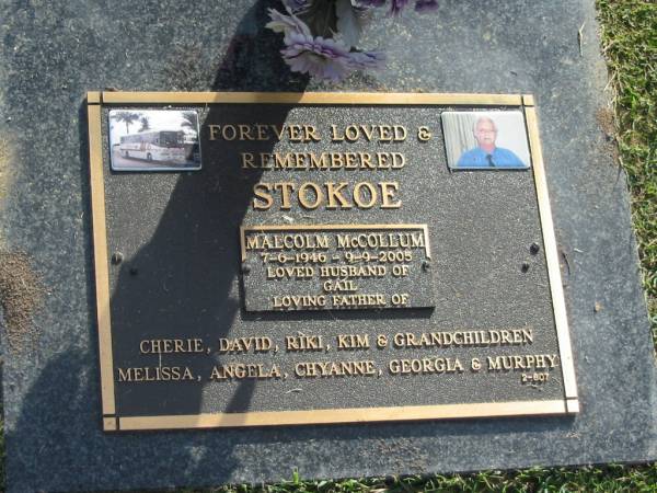 Malcolm McCollum STOKOE,  | 7-6-1946 - 9-9-2005,  | husband of Gail,  | father of Cherie, David, Riki, Kim,  | grandchildren Melissa, Angela, Chyanne, Georgia &  | Murphy;  | Mudgeeraba cemetery, City of Gold Coast  | 