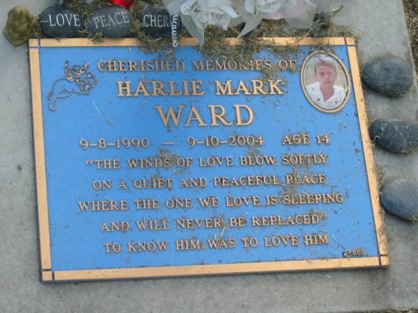 Harlie Mark WARD,  | 9-8-1990 - 9-10-2004 aged 14 years;  | Mudgeeraba cemetery, City of Gold Coast  | 