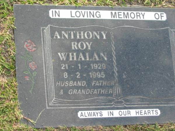 Anthony Roy WHALAN,  | 21-1-1929 - 8-2-1995,  | husband father grandfather;  | Mudgeeraba cemetery, City of Gold Coast  | 
