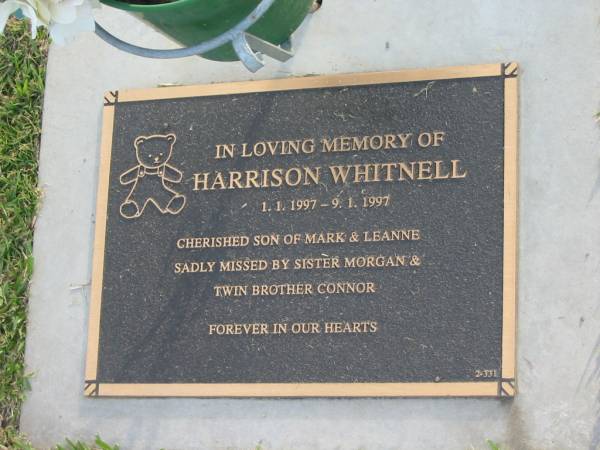 Harrison WHITNELL,  | 1-1-1997 - 9-1-1997,  | son of Mark & Leanne,  | sister Morgan,  | twin brother Connor;  | Mudgeeraba cemetery, City of Gold Coast  | 
