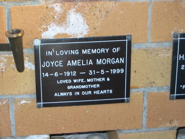 Joyce Amelia MORGAN,  | 14-6-1912 - 31-5-1999,  | wife mother grandmother;  | Mudgeeraba cemetery, City of Gold Coast  | 