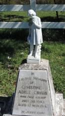 
Christine Adele GRUBB
d: 30 Jul 1953 aged 17 mo

Mulgildie Cemetery, North Burnett Region


