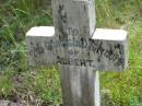 
Albert, infant son of G & M BARNES;
Mundoolun Anglican cemetery, Beaudesert Shire
