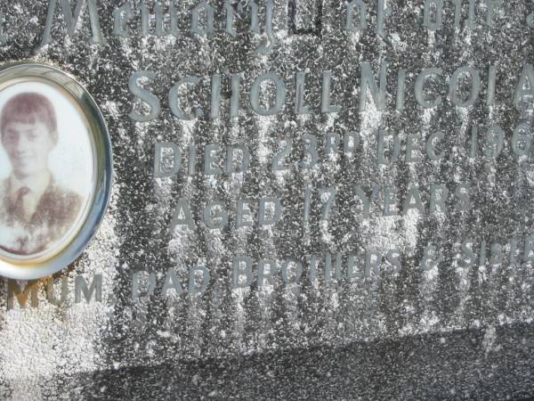 Scholl NICOLA,  | died 23 Dec 1969 aged 17 years,  | missed by mum, dad, brothers & sisters;  | Murwillumbah Catholic Cemetery, New South Wales  | 