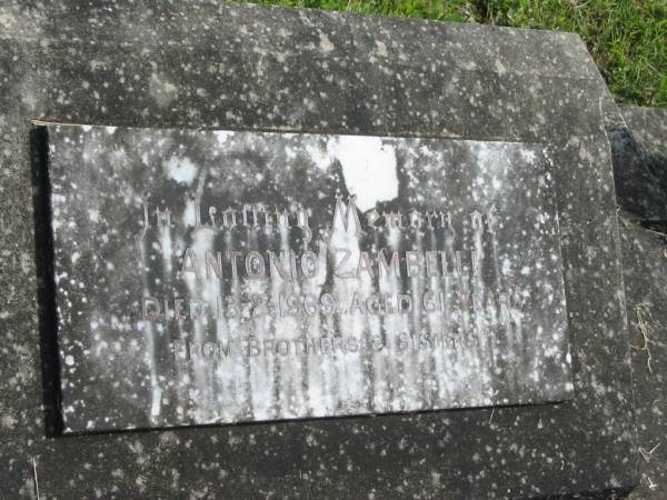 Antonio ZAMBELLI,  | died 13-2-1969 aged 61 years,  | missed by brothers & sisters;  | Murwillumbah Catholic Cemetery, New South Wales  | 