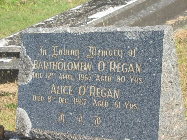 Bartholomew O'REGAN,  | died 12 April 1967 aged 80 years;  | Alice O'REGAN,  | died 8 Dec 1967 aged 61 years;  | Murwillumbah Catholic Cemetery, New South Wales  | 