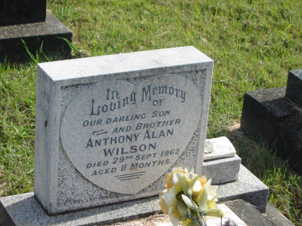 Anthony Alan WILSON,  | son brother,  | died 29 Sept 1962 aged 11 months;  | Murwillumbah Catholic Cemetery, New South Wales  | 