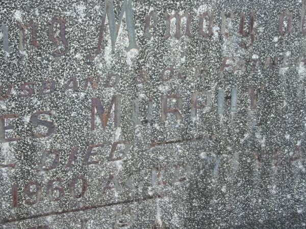 James MURPHY,  | husband father,  | died 7 Aug 1960 aged 79 years;  | Murwillumbah Catholic Cemetery, New South Wales  | 