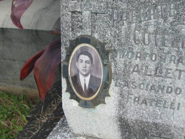 Francesco COTELLI,  | died 29-9-56 aged 16 years;  | Murwillumbah Catholic Cemetery, New South Wales  | 