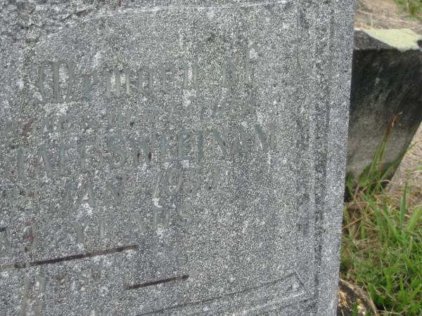 Alexander (Taff) SWEETNAM,  | husband father,  | died 24 Jan 1953 aged 53 years;  | Murwillumbah Catholic Cemetery, New South Wales  | 