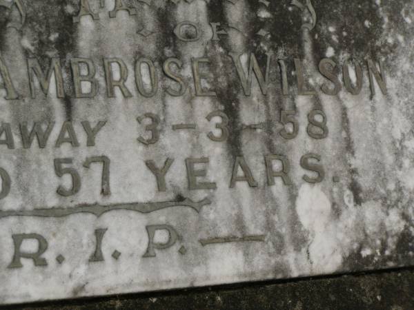 Charles Ambrose WILSON,  | died 3-3-58 aged 57 years;  | Murwillumbah Catholic Cemetery, New South Wales  | 