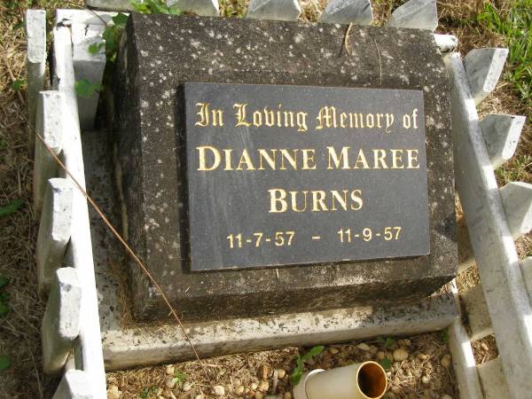 Dianne Maree BURNS,  | 11-7-57 - 11-9-57;  | Murwillumbah Catholic Cemetery, New South Wales  | 