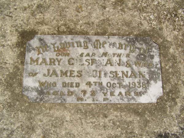Mary GILSENAN,  | mother,  | wife of James GILSENAN,  | died 4 Oct 1938 aged 72 years;  | Murwillumbah Catholic Cemetery, New South Wales  | 