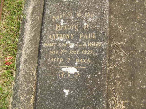 Anthony Paul,  | infant son of J. & D. WARE,  | died 2 July 1937 aged 2 days;  | Murwillumbah Catholic Cemetery, New South Wales  | 
