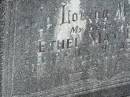 
Ethel May HOLMES,
wife,
died 12 July 1960 aged 66 years;
Murwillumbah Catholic Cemetery, New South Wales
