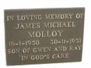 
James Michael MOLLOY,
16-1-1950 - 30-11-1951,
son of Gwen & Ray;
Murwillumbah Catholic Cemetery, New South Wales
