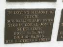 Glorice Coral Joyce (Joycie) SCHRADER, sister, born 3-3-1943, died 10-8-46, loved by brothers & sister; Murwillumbah Catholic Cemetery, New South Wales 