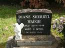 Diane Sherryl WAUGH, died 20-4-1949 aged 9 months; Murwillumbah Catholic Cemetery, New South Wales 