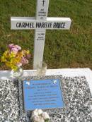 
Carmel Narelle BRUCE,
died 3-1-1942 aged 5 years 7 months;
Murwillumbah Catholic Cemetery, New South Wales
