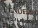
Daniel PENDERGAST,
died 24 Nov 1933 aged 74 years;
Murwillumbah Catholic Cemetery, New South Wales
