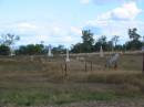 
Mutdapilly general cemetery, Boonah Shire
