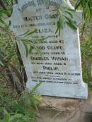 
Walter GRAY
17 Jan 1930 
aged 84 yrs

wife
Eliza
8 Nov 1890
aged 43

Maud Olive
8 Jan 1901 
aged 18

Charles Vivian
4 Mar 1889 
aged 4

Philip
16 Jul 1874 
aged 6 months

Mutdapilly general cemetery, Boonah Shire
