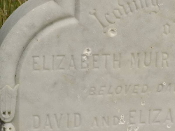 Elizabeth Muir (Essie) MITCHELL  | (daughther of David and Elizabeth MITCHELL)  | d: 30 Dec 1895, aged 6 1/2 years  | Nambucca Heads historic cemetery overlooking Shelly Beach  |   | 