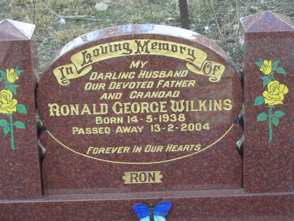 Ronald George WILKINS,  | born 14-5-1938,  | died 13-2-2004,  | husband father grandad;  | Nobby cemetery, Clifton Shire  | 