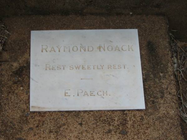 Raymond NOACK,  | aged 4 years,  | E. PAECH;  | Nobby cemetery, Clifton Shire  | 