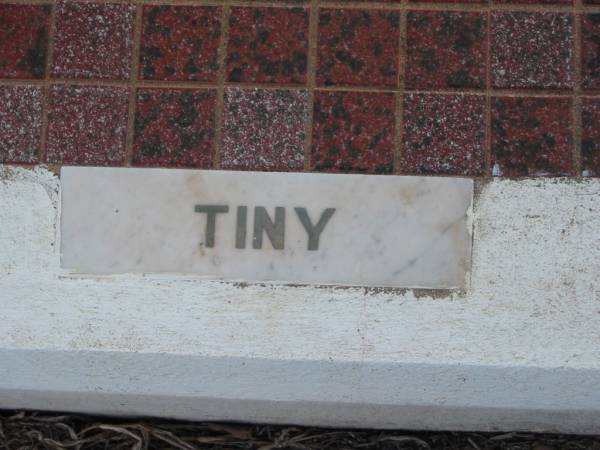 Sydney Ernest (Tiny) BREEZE,  | died 24 Nov 1982 aged 71 years;  | Nobby cemetery, Clifton Shire  | 