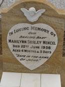 
Marilynn Shirley MENGEL,
died 22 June 1956 aged 4 months 5 days;
Nobby cemetery, Clifton Shire
