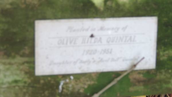Olive Hilda Quintal  | 1920 - 1951  |   | Norfolk Island Memorial Park  |   | 