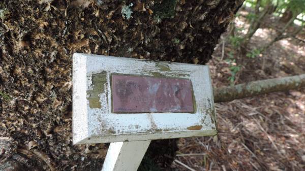 Taylor Menzies  |   | Norfolk Island Memorial Park  |   | 