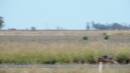 DSCN5986.JPG