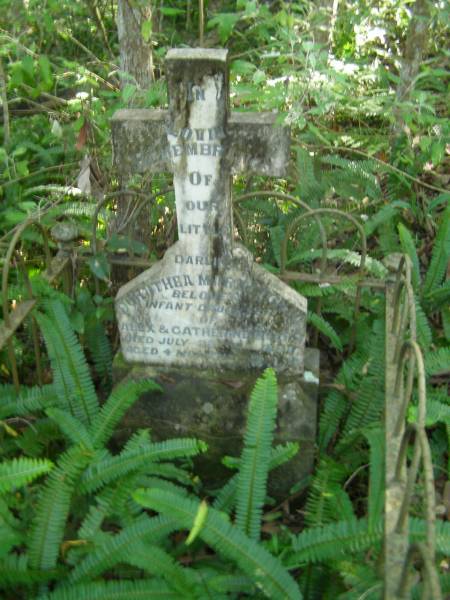 Dorothea Mary Cecilia,  | infant daughter of Alex & Catherine MYERS,  | died 29 July 1898 aged 4 months;  | North Tumbulgum cemetery, New South Wales  | 