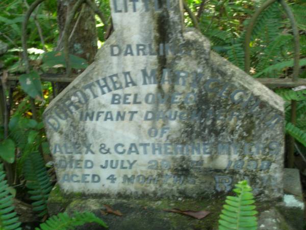 Dorothea Mary Cecilia,  | infant daughter of Alex & Catherine MYERS,  | died 29 July 1898 aged 4 months;  | North Tumbulgum cemetery, New South Wales  | 