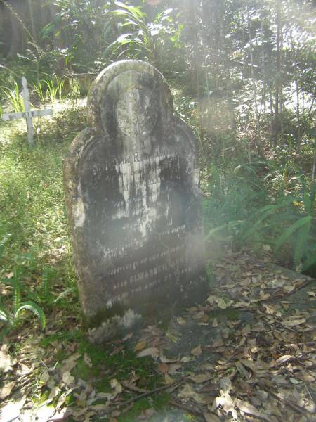 H.J. TREE,  | died 5 July 1913 aged 38 years,  | erected by wife;  | Elizabeth Ann,  | wife,  | aged 77 years;  | North Tumbulgum cemetery, New South Wales  | 