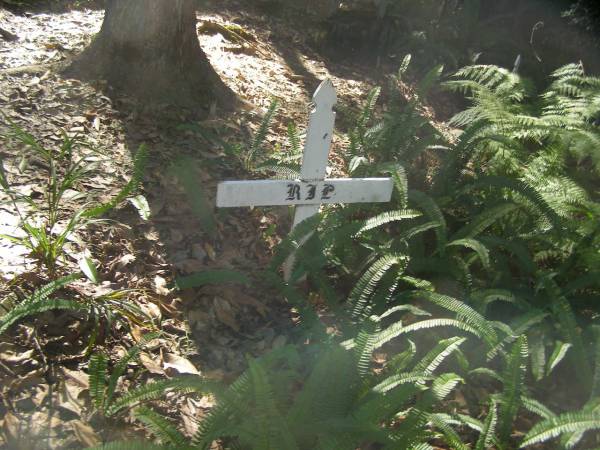 North Tumbulgum cemetery, New South Wales  | 