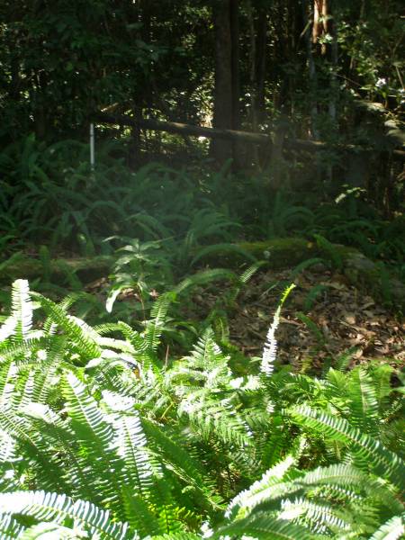 North Tumbulgum cemetery, New South Wales  | 