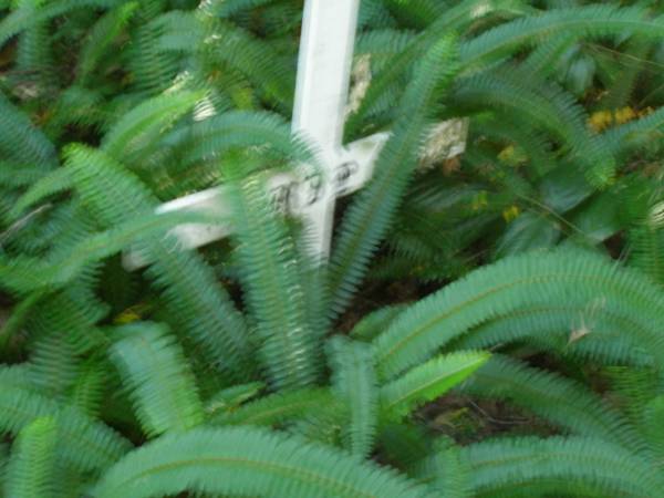 North Tumbulgum cemetery, New South Wales  | 