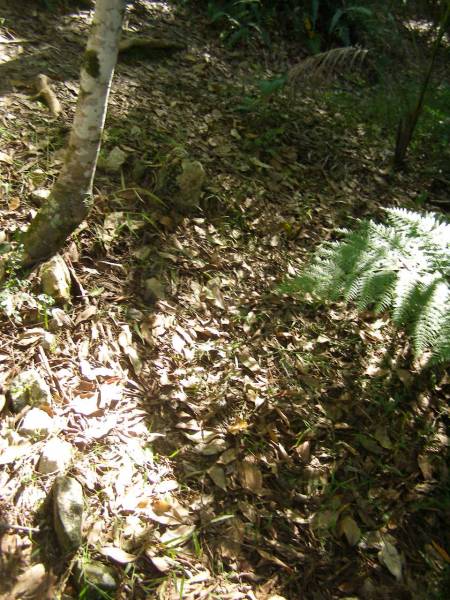 North Tumbulgum cemetery, New South Wales  | 