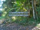 
North Tumbulgum cemetery, New South Wales
