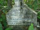 
Dorothea Mary Cecilia,
infant daughter of Alex & Catherine MYERS,
died 29 July 1898 aged 4 months;
North Tumbulgum cemetery, New South Wales
