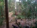 
North Tumbulgum cemetery
