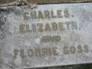 Charles, Elizabeth and Florrie GOSS  Nundah / German Station Cemetery: (Albury/Bridges relatives)  