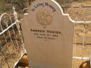 
Andrew HEWISH (d: 12 Jun 1898 aged 44),
Pioneer Cemetery, 
Oodnadatta,
South Australia
