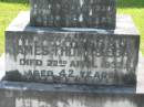 
Bridget EGAN,
died 9 Jan 1930 aged 76 years;
James Thomas EGAN, son,
died 22 April 1932 aged 42 years;
St James Catholic Cemetery, Palen Creek, Beaudesert Shire
